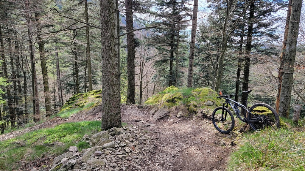 MTB Tour von Freiburg auf den Schauinsland