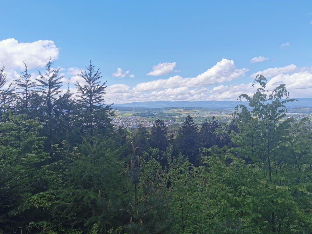 Blick vom Schwarzkopf Trail