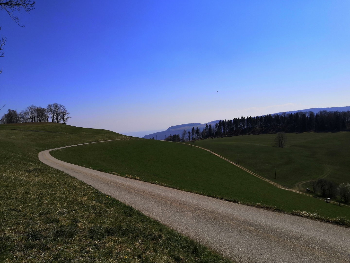 MTB Tour Brunnersberg