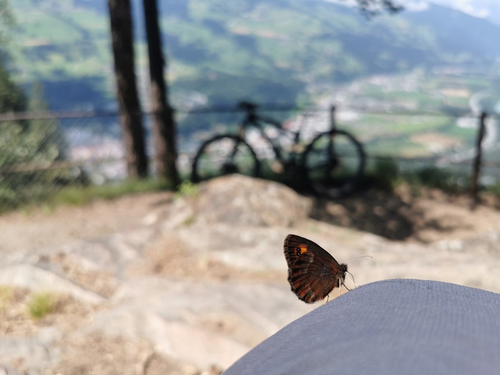 Mit dem Schmetterling auf dem Aussichtspunkt Crap Carschenna