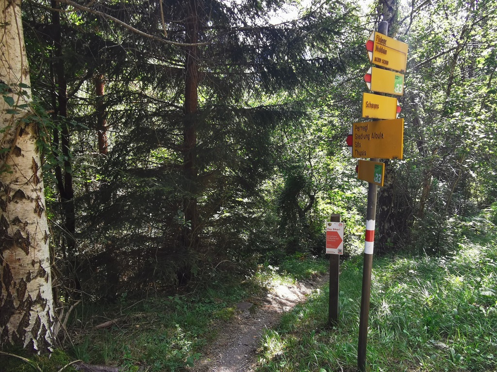 Kurze MTB Tour von Thusis mit dem Prin Trail